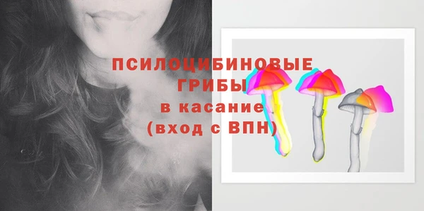 тгк Алексин