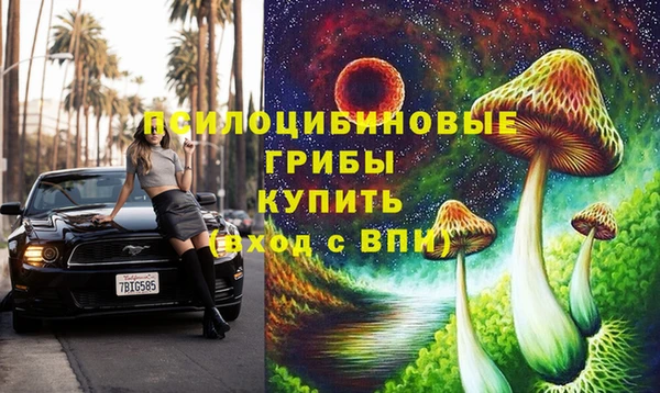 гидра Алексеевка