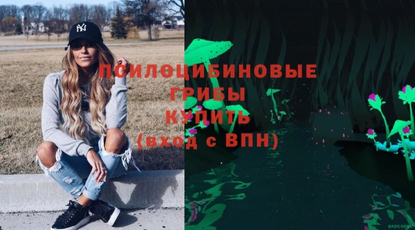 винт Алзамай