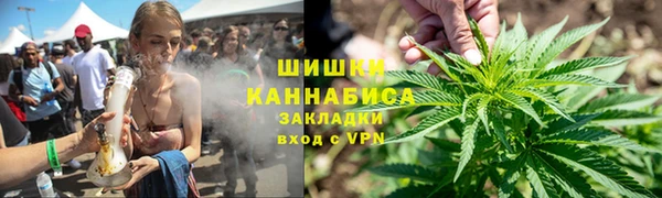 винт Алзамай